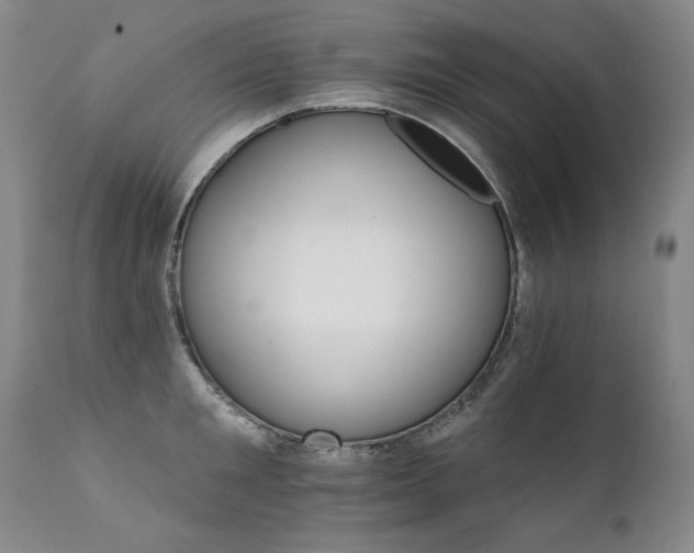 X0000111930901200907271310