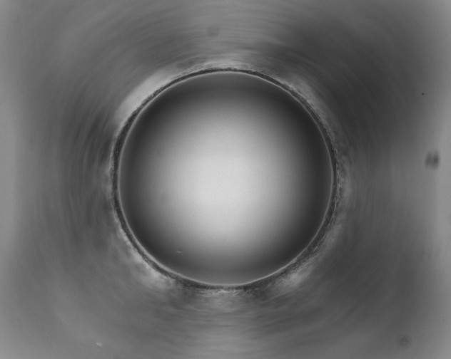 X0000111930902200907271310