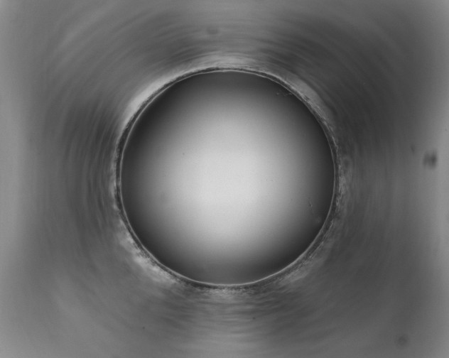 X0000111930904200907271310