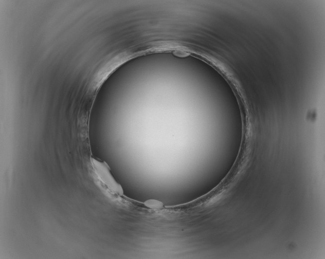 X0000111930905200907271310