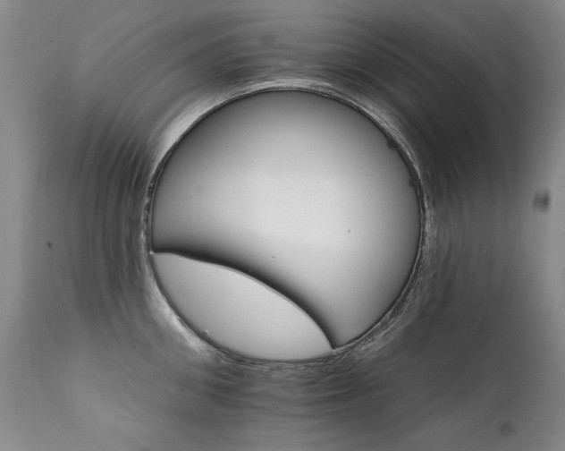 X0000111930906200907271310