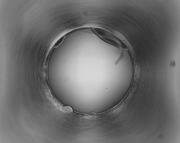 X0000111930908200907271310