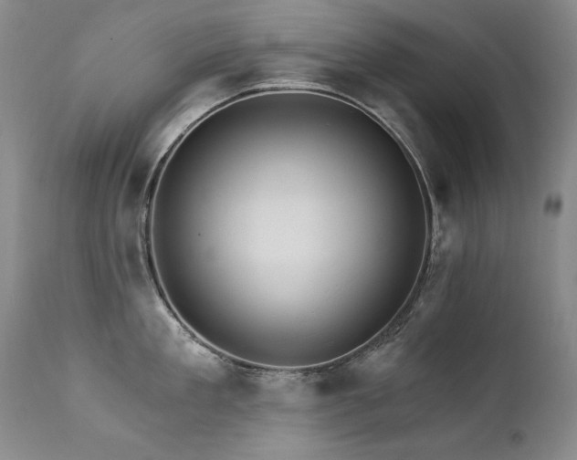 X0000111930909200907271310