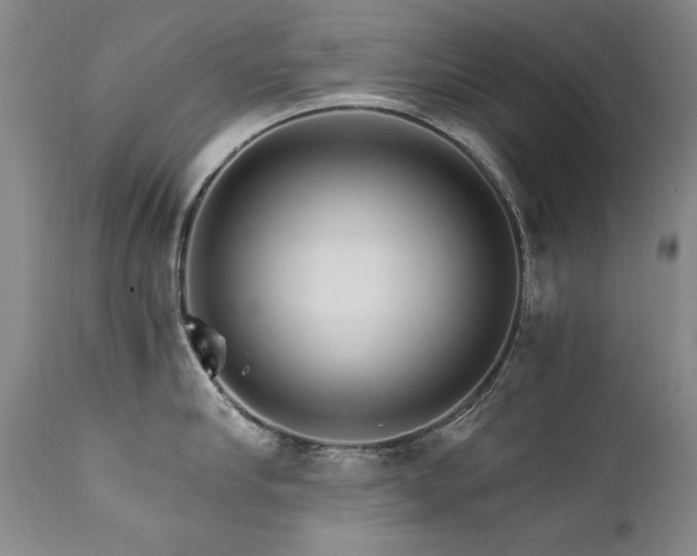 X0000111930910200907271310