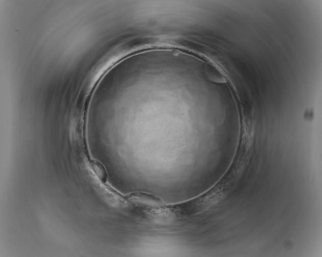 X0000111930911200907271310