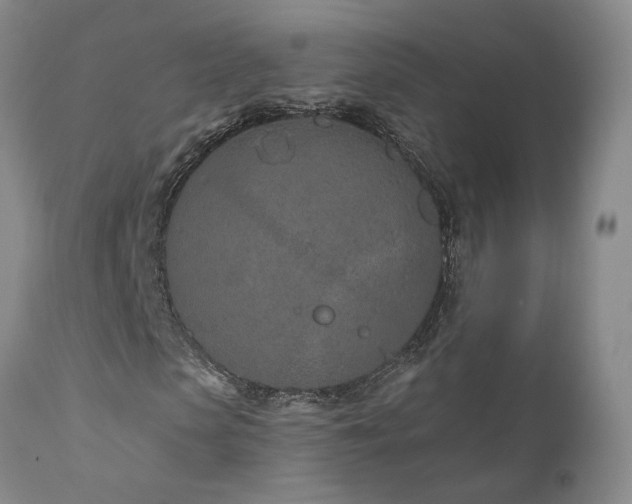 X0000111930913200907271309