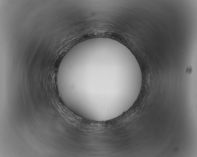 X0000111930914200907271310