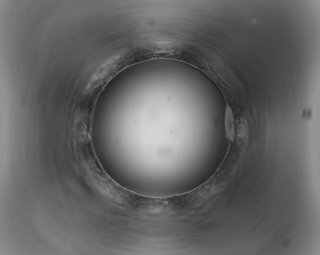X0000111930916200907271310