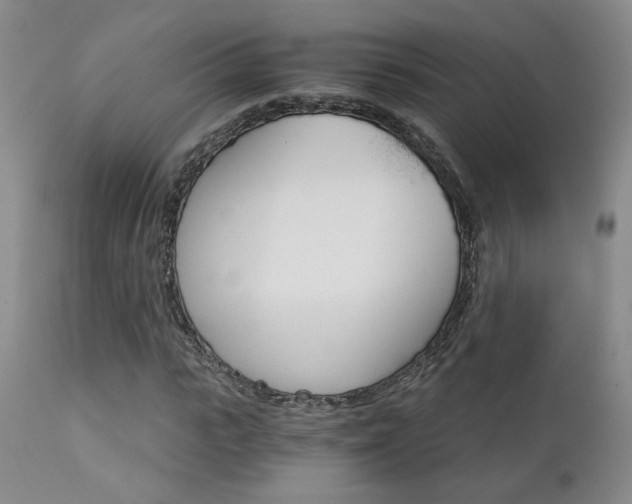 X0000111930919200907271310