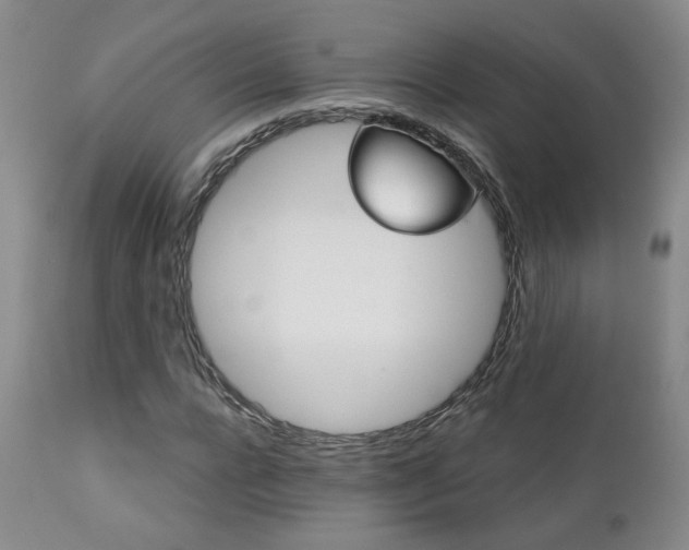 X0000111930920200907271310