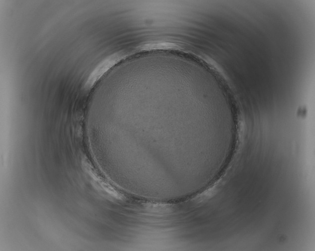 X0000111930921200907271310