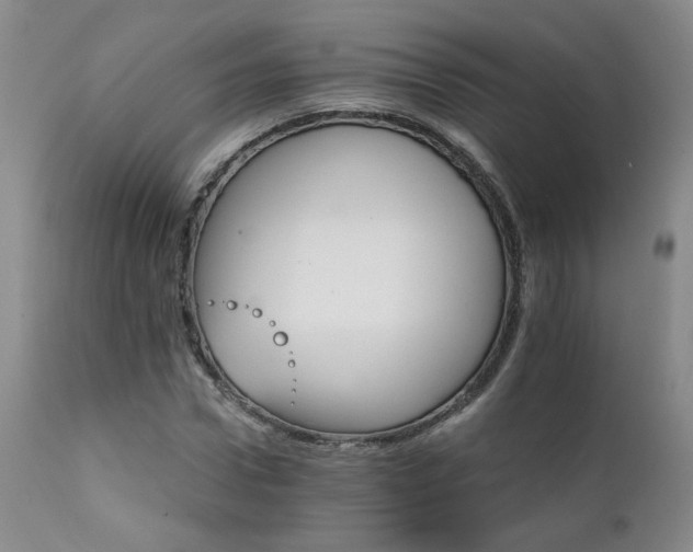 X0000111930922200907271310