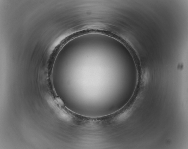 X0000111930923200907271310