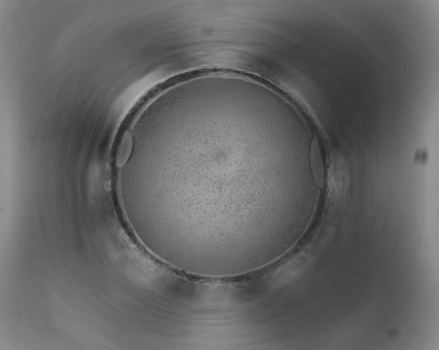X0000111930924200907271310