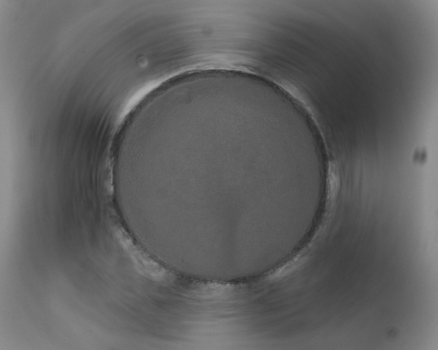 X0000111930925200907271310