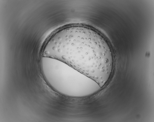X0000111930927200907271310
