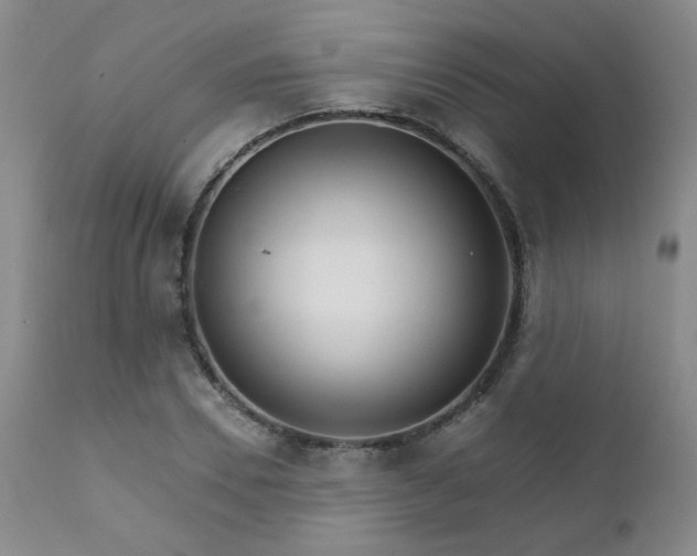 X0000111930930200907271310