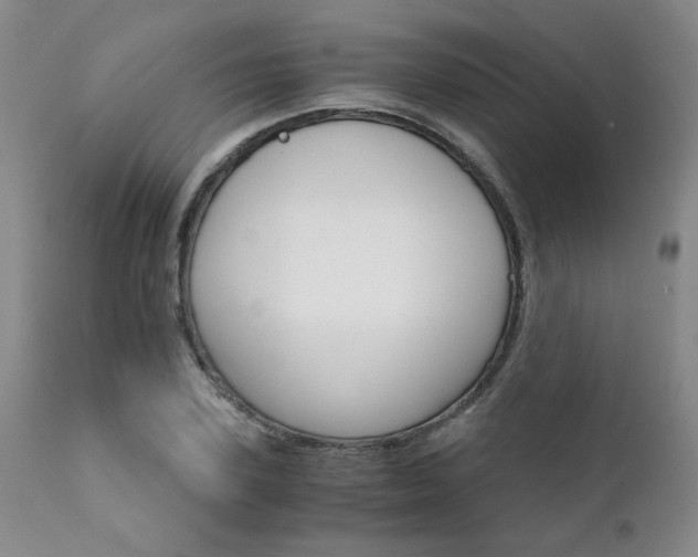 X0000111930931200907271310