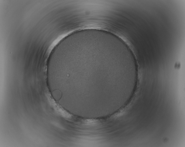 X0000111930933200907271310