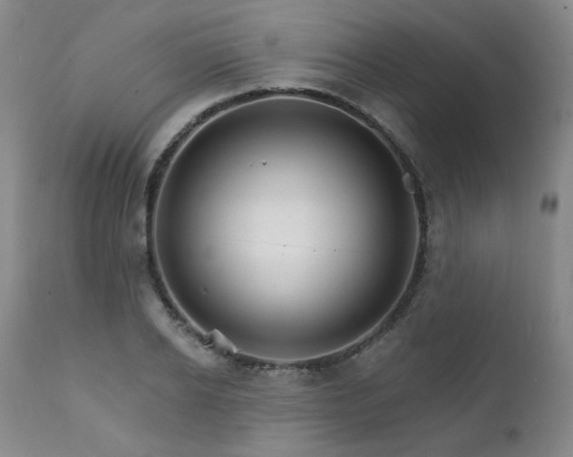 X0000111930934200907271310