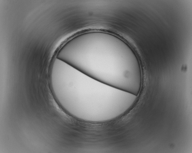 X0000111930935200907271310