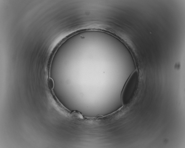 X0000111930936200907271310