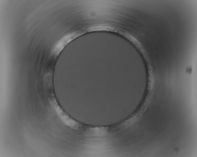 X0000111930937200907271310
