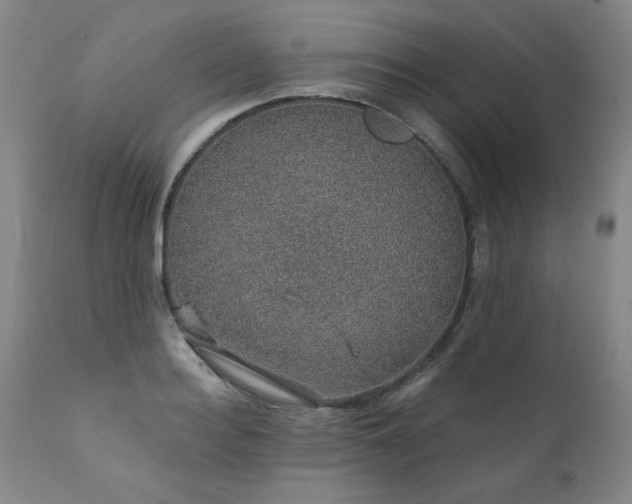X0000111930940200907271310