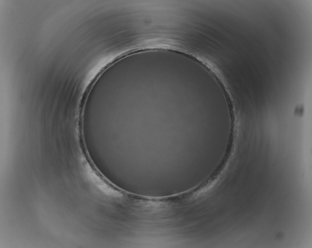 X0000111930941200907271310