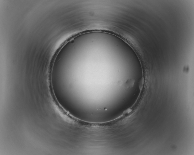 X0000111930942200907271310