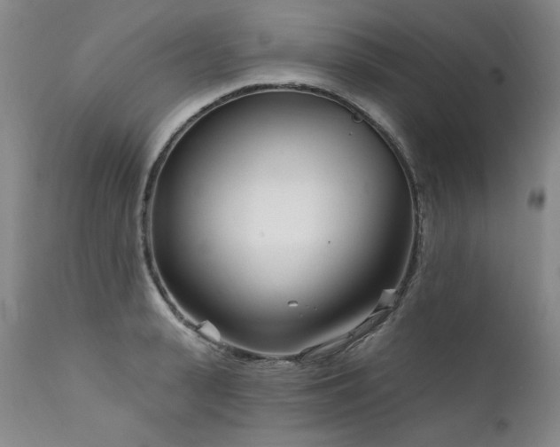 X0000111930943200907271310