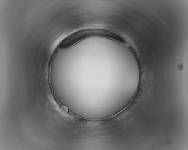 X0000111930944200907271310