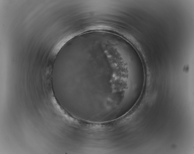 X0000111930945200907271310