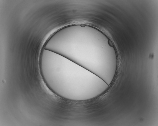 X0000111930947200907271310