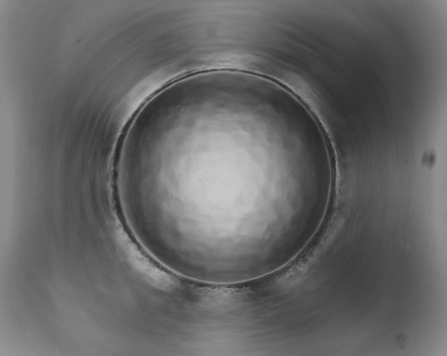 X0000111930949200907271310