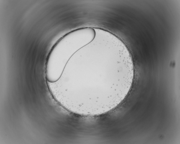 X0000111930950200907271310