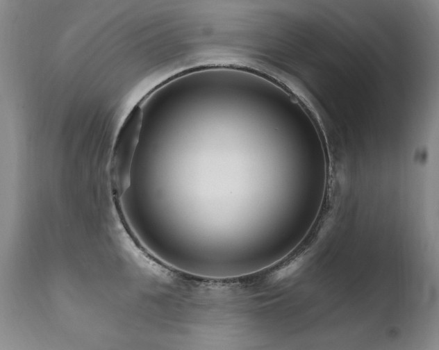 X0000111930951200907271310