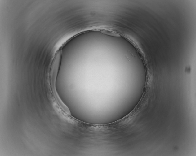 X0000111930952200907271310