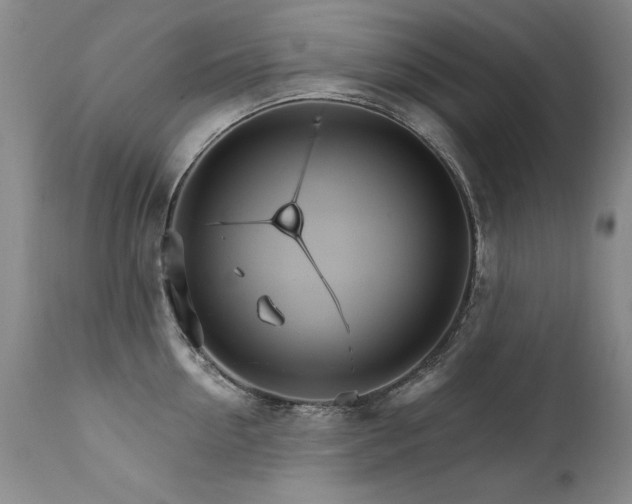 X0000111930954200907271310