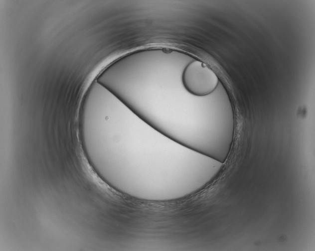 X0000111930955200907271310