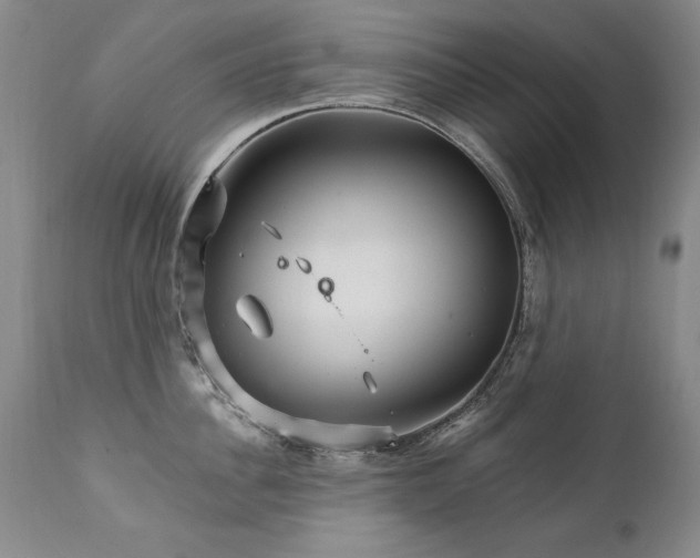 X0000111930956200907271310