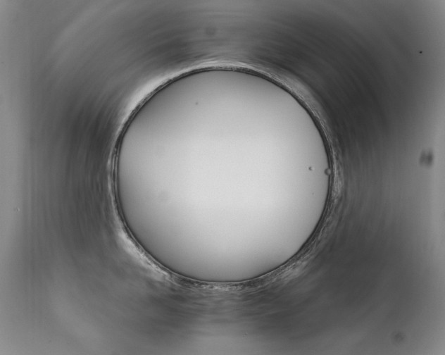 X0000111930958200907271310