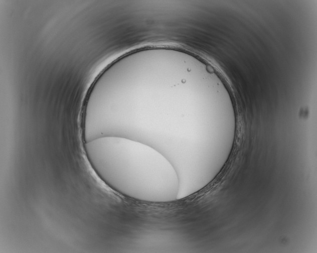 X0000111930959200907271310