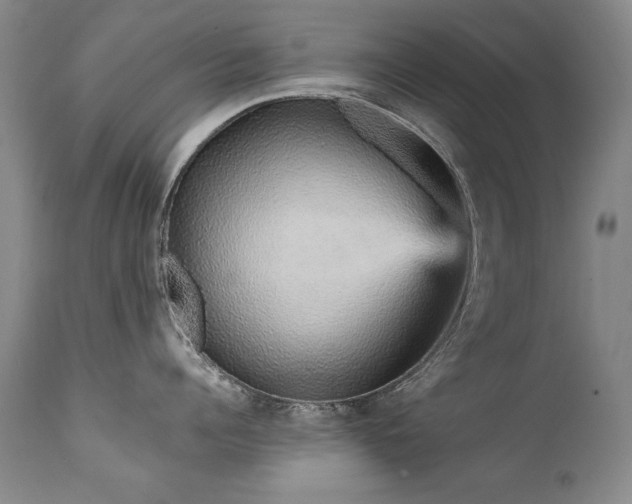 X0000111930960200907271310