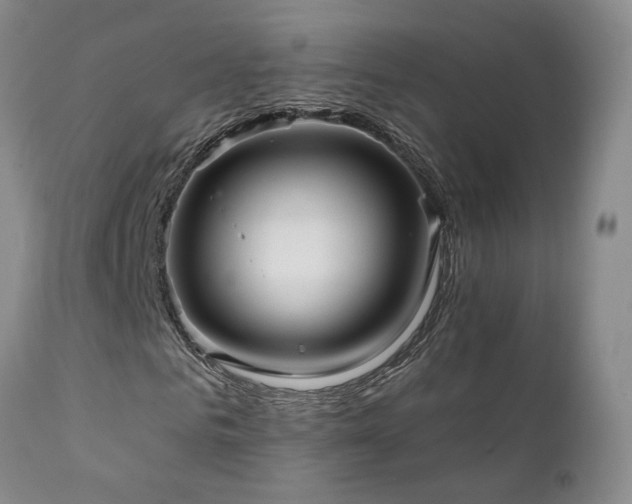 X0000111930961200907271309