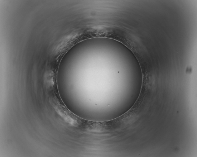 X0000111930962200907271309