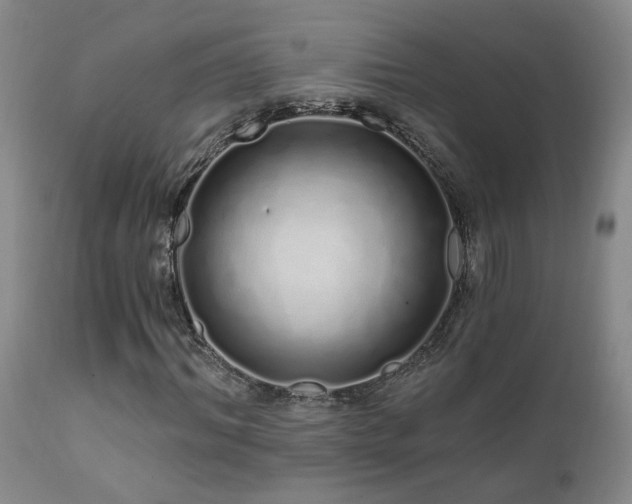 X0000111930964200907271309