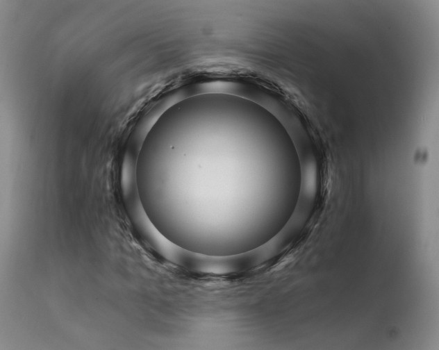 X0000111930965200907271309