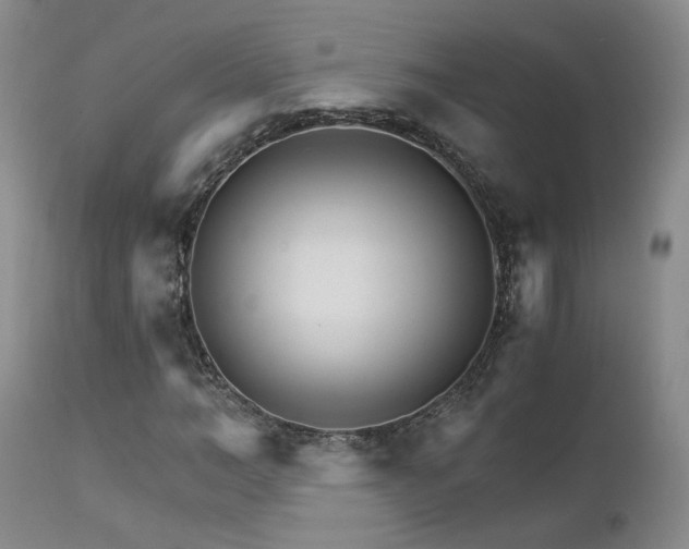 X0000111930966200907271309