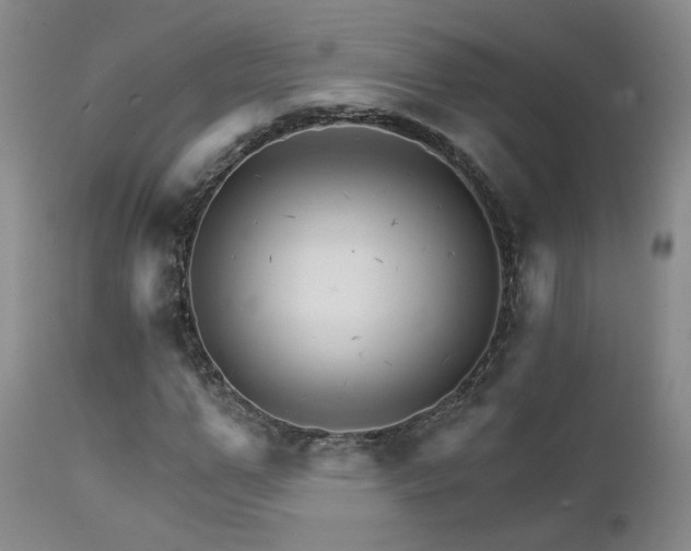 X0000111930967200907271309